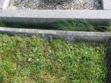 image of grave number 932925